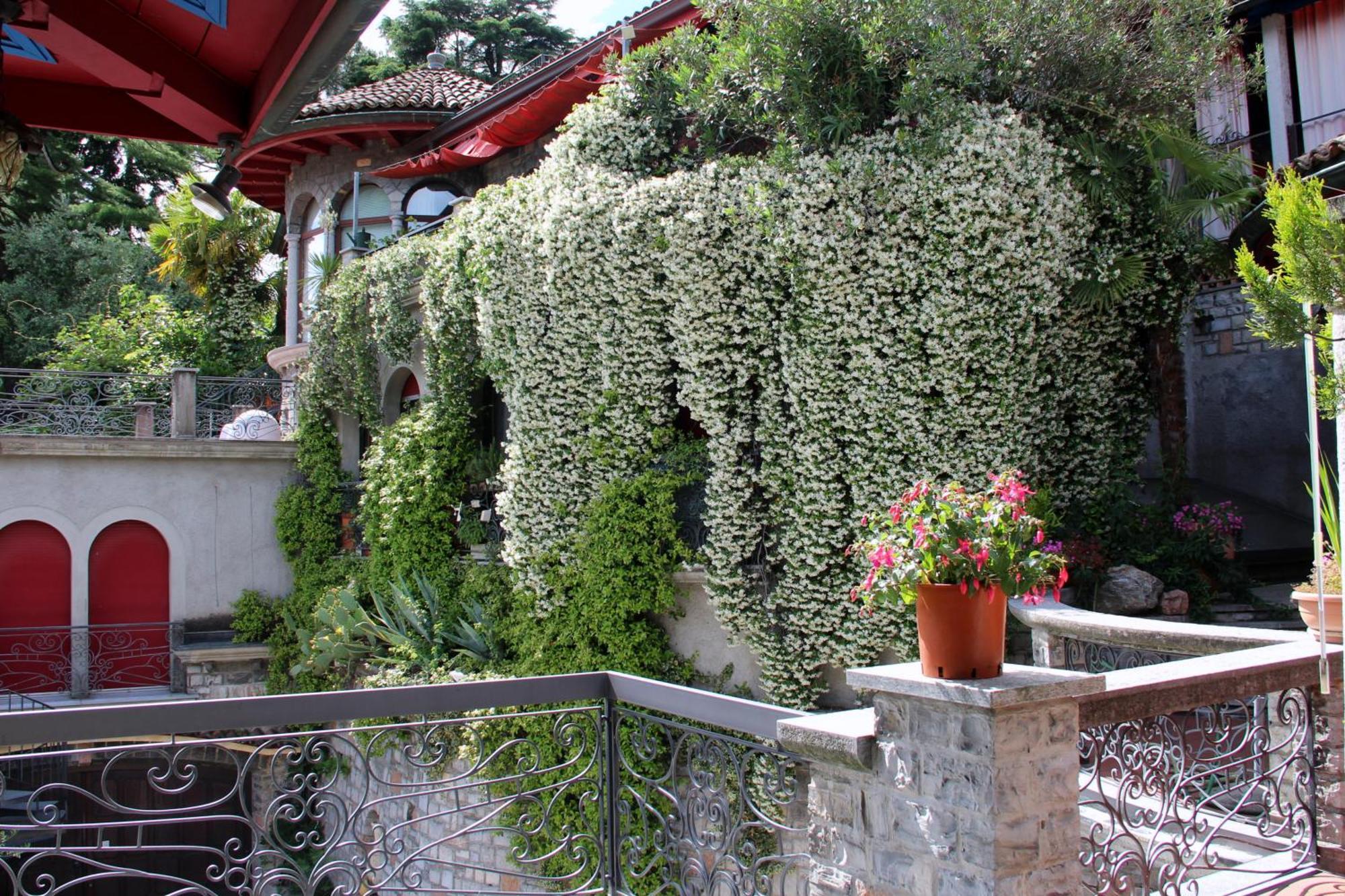 Barony Le Pergole Holiday Apartments Lugano Eksteriør billede