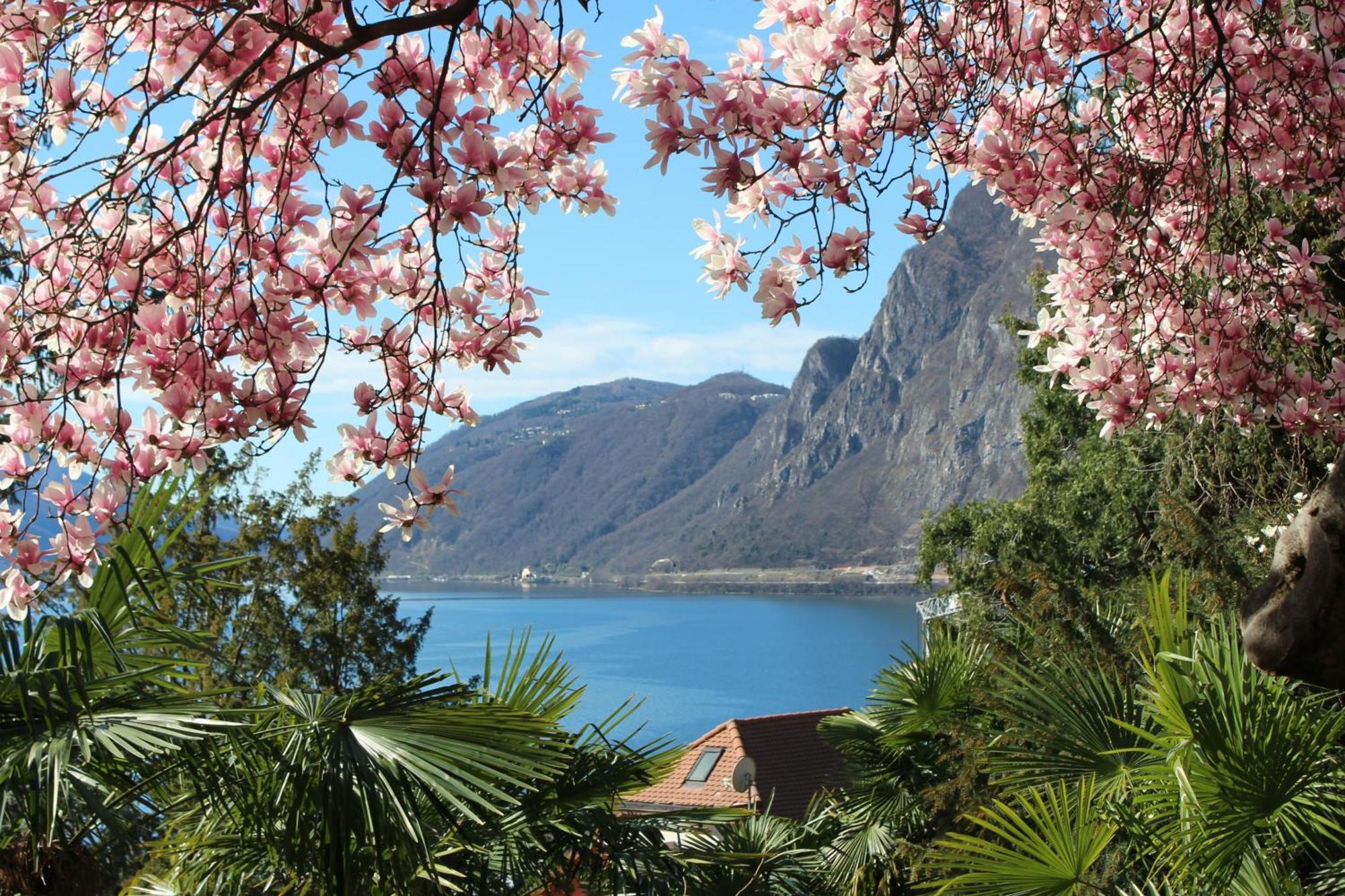 Barony Le Pergole Holiday Apartments Lugano Eksteriør billede