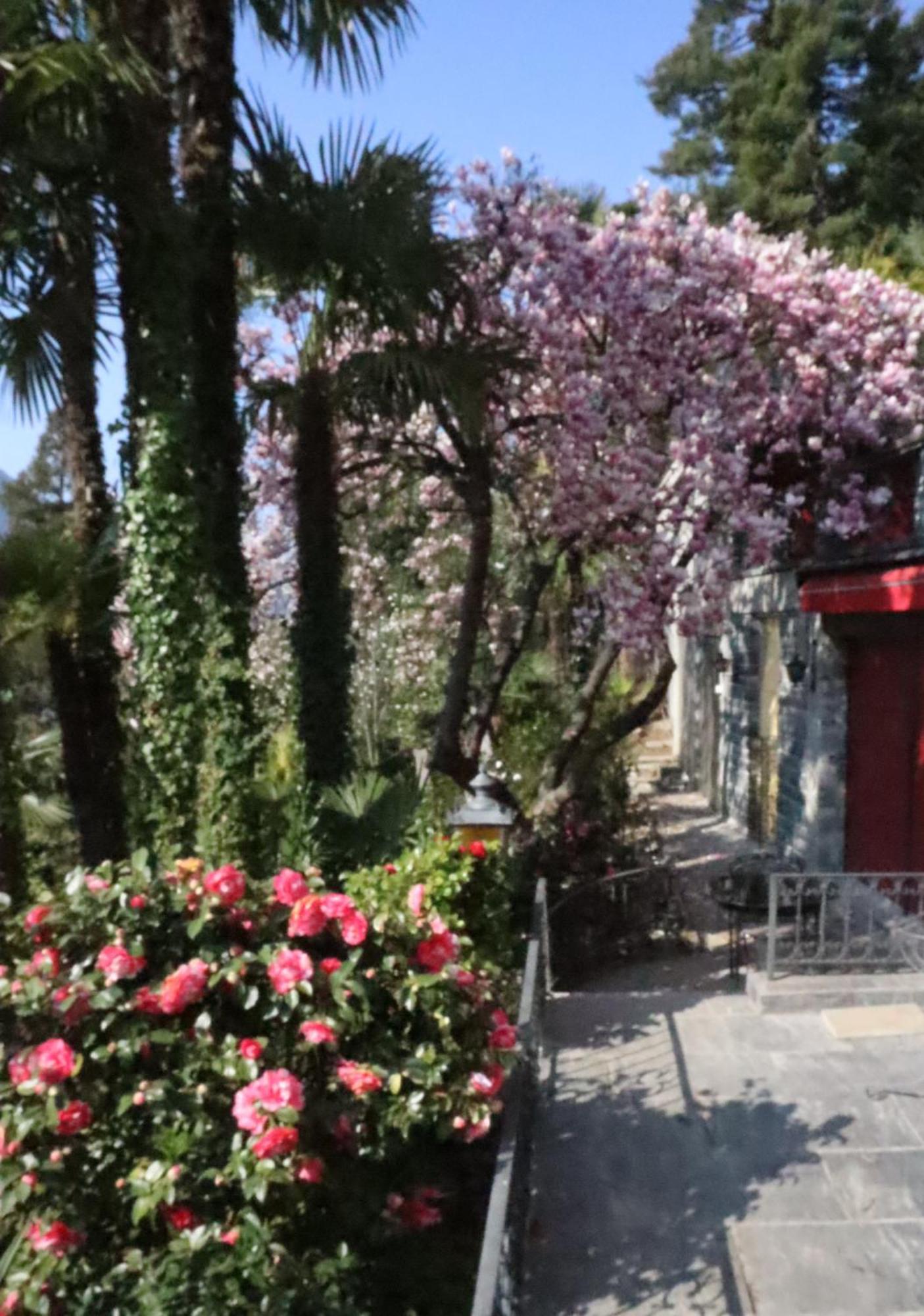 Barony Le Pergole Holiday Apartments Lugano Eksteriør billede