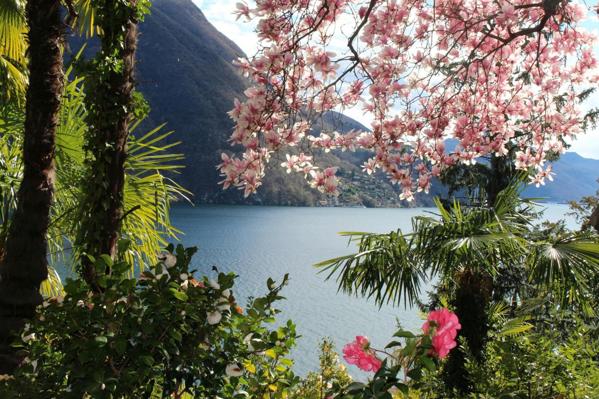 Barony Le Pergole Holiday Apartments Lugano Eksteriør billede